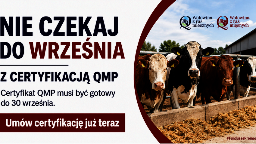 Powiększ: