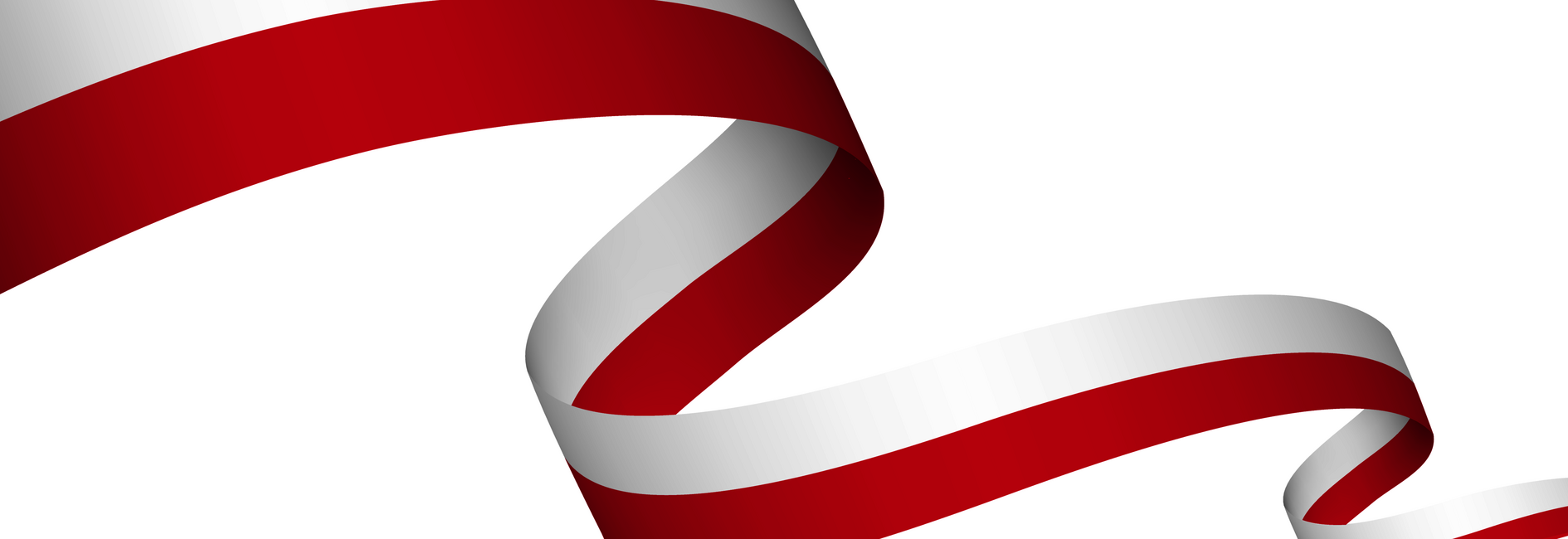 Obchody Narodowego Święta Niepodległości