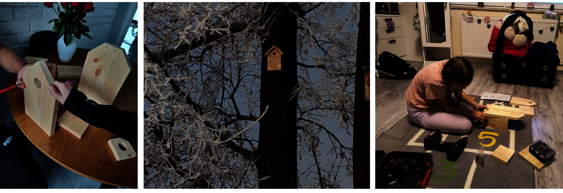 #Ekopawłowice - uczniowie montują budki lęgowe