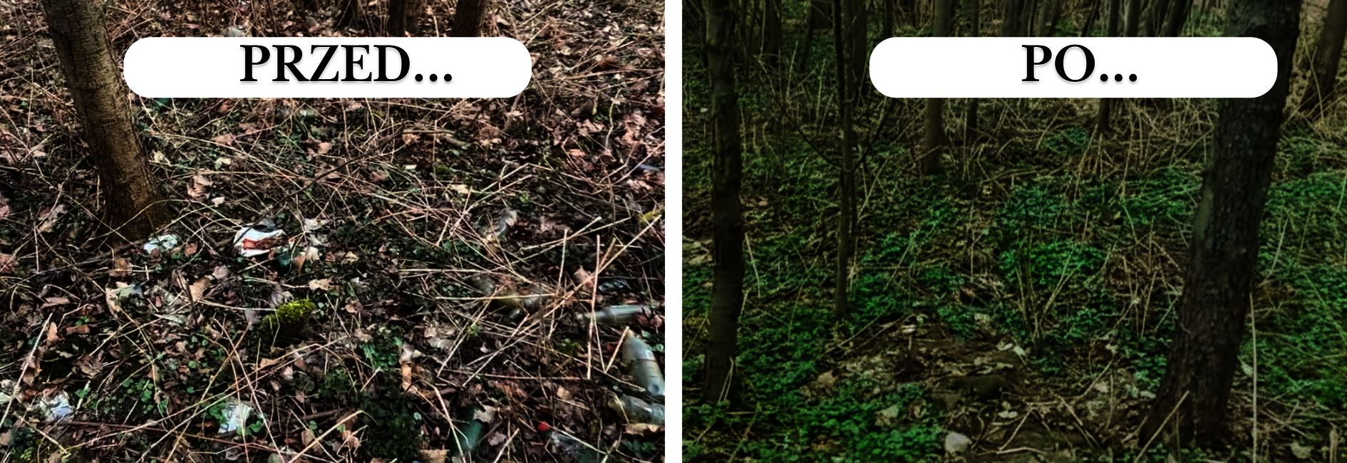 Nie chcemy tego tak zostawić