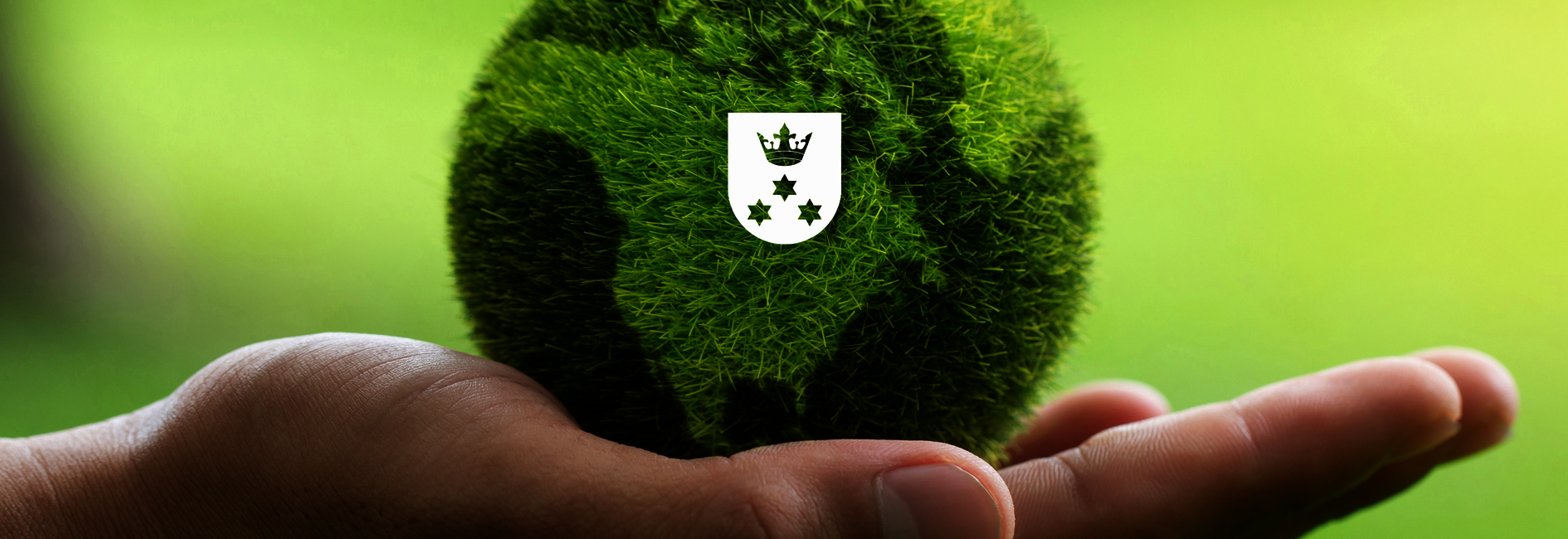 Sprzątamy naszą gminę – dołącz do akcji #EkoPawłowice!