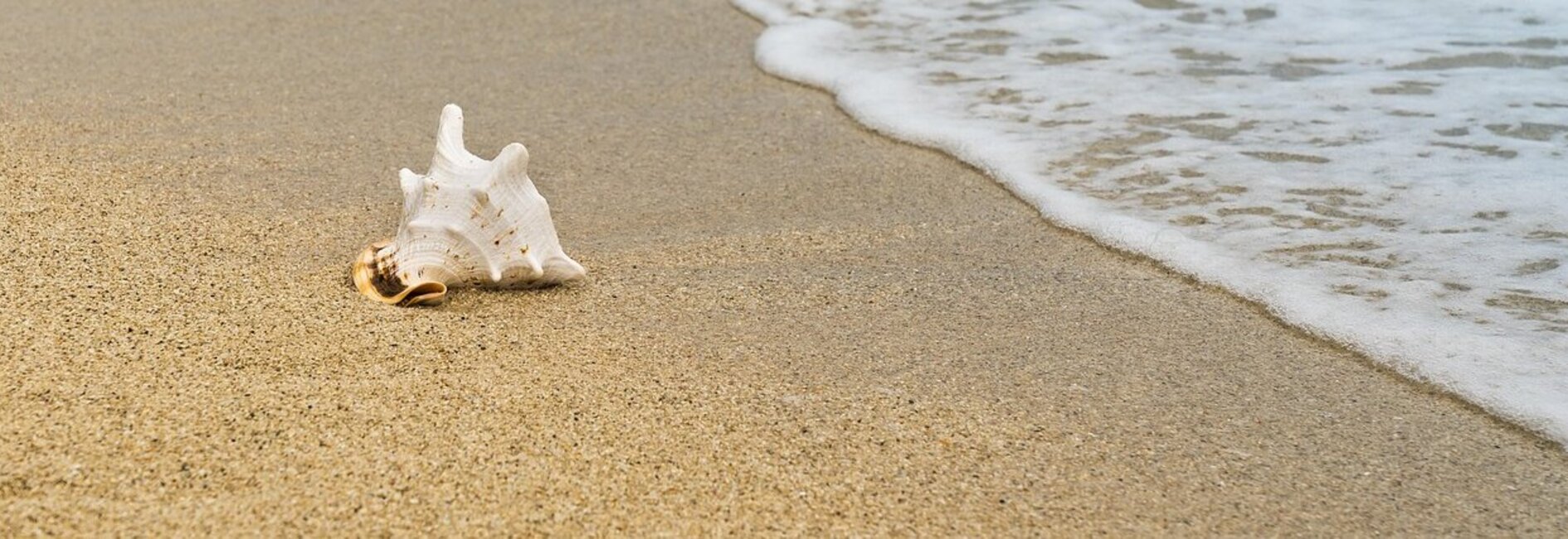 Wakacyjne dyżury przedszkoli